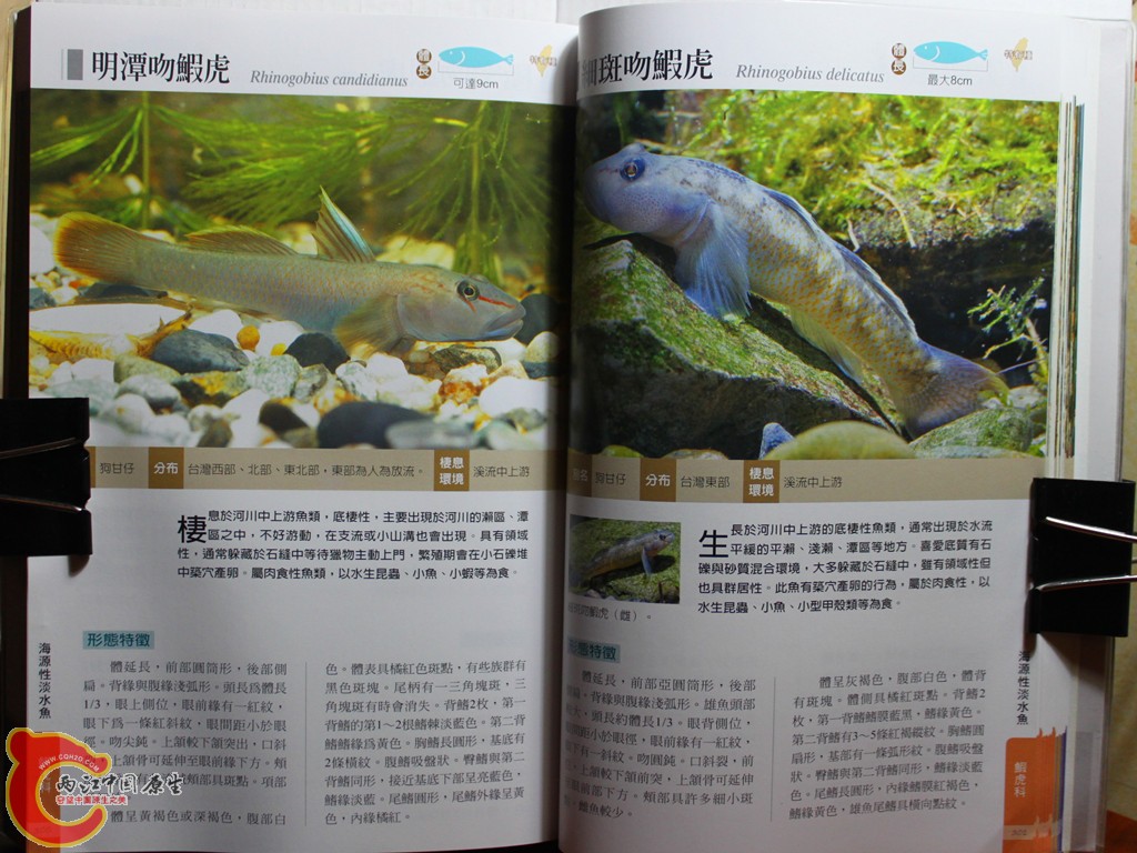 dIMG_7071_副本.jpg