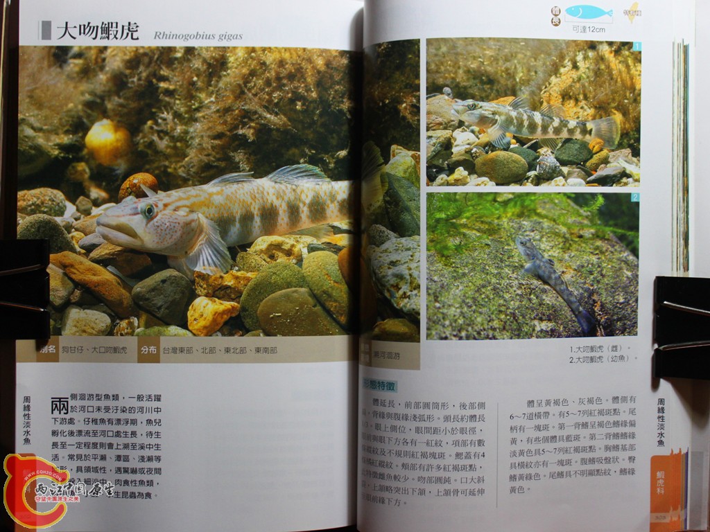 dIMG_7072_副本.jpg