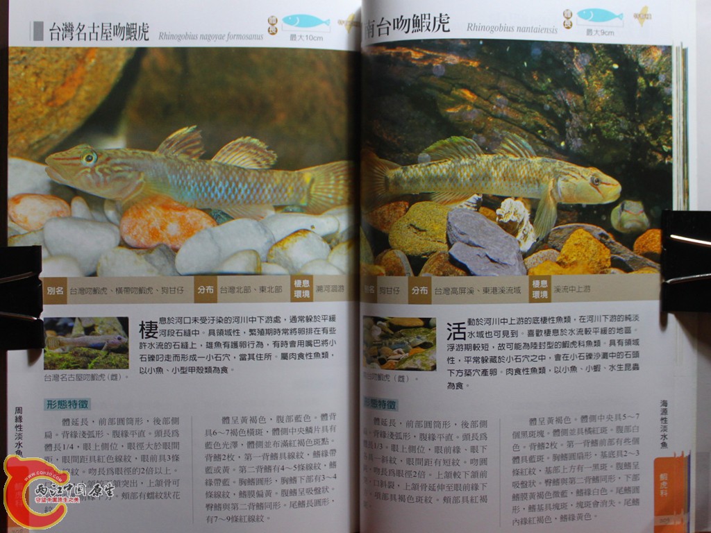 dIMG_7075_副本.jpg