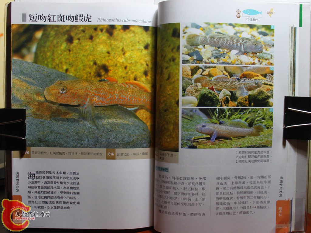 dIMG_7076_副本.jpg