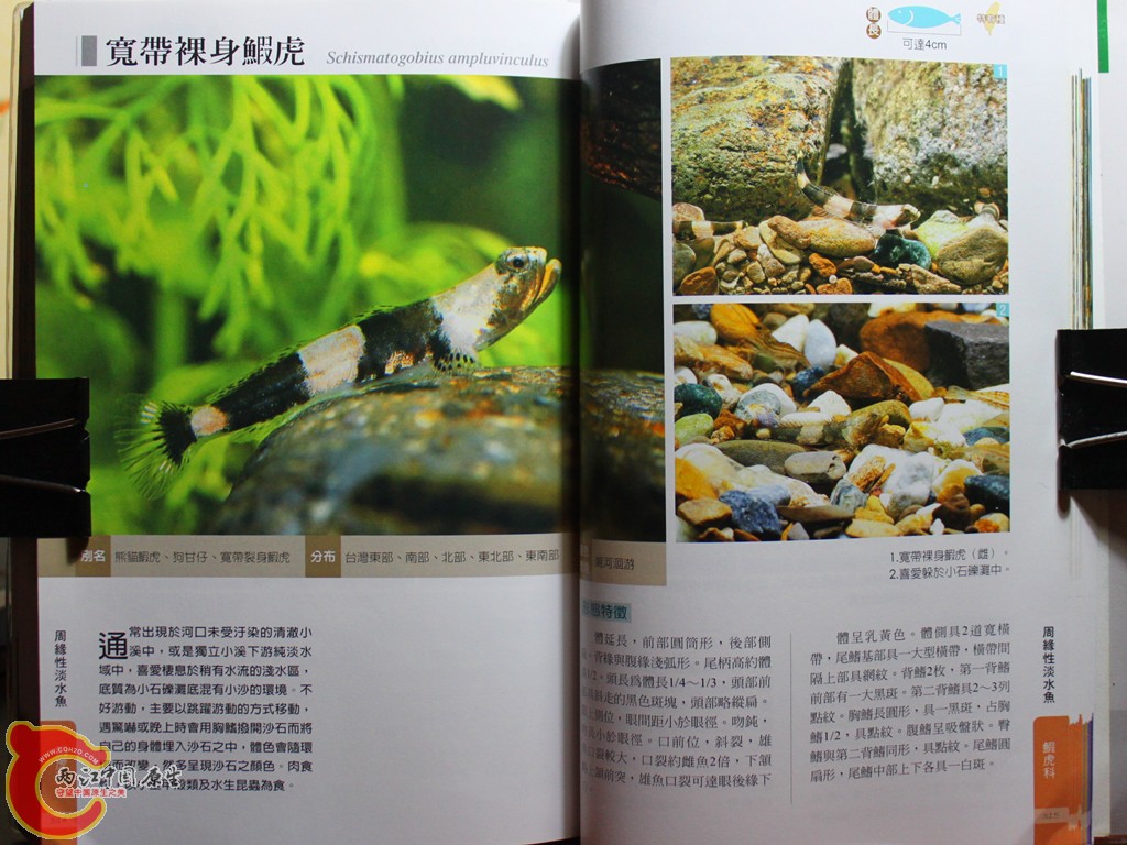 dIMG_7077_副本.jpg