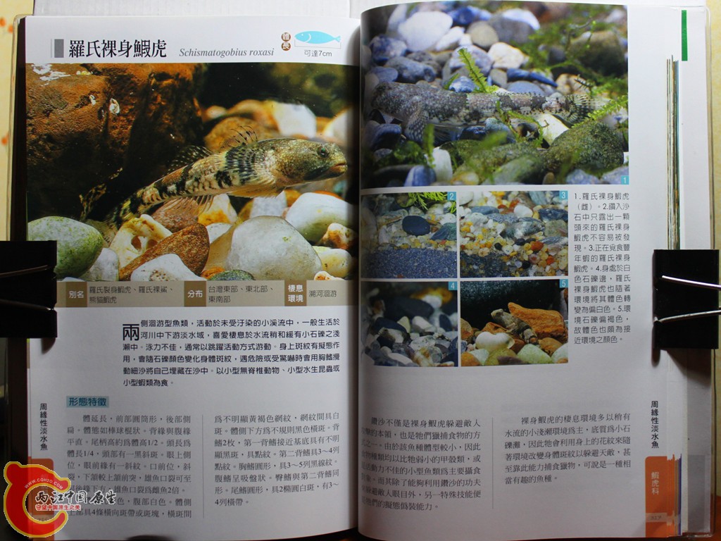dIMG_7078_副本.jpg