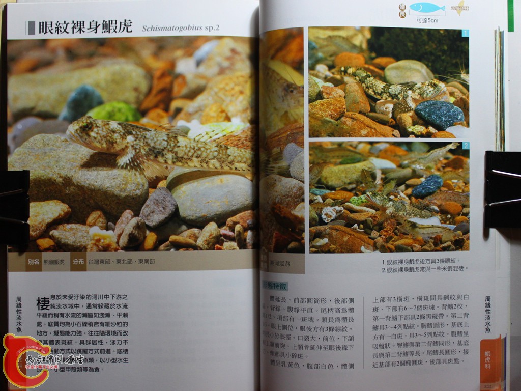 dIMG_7080_副本.jpg