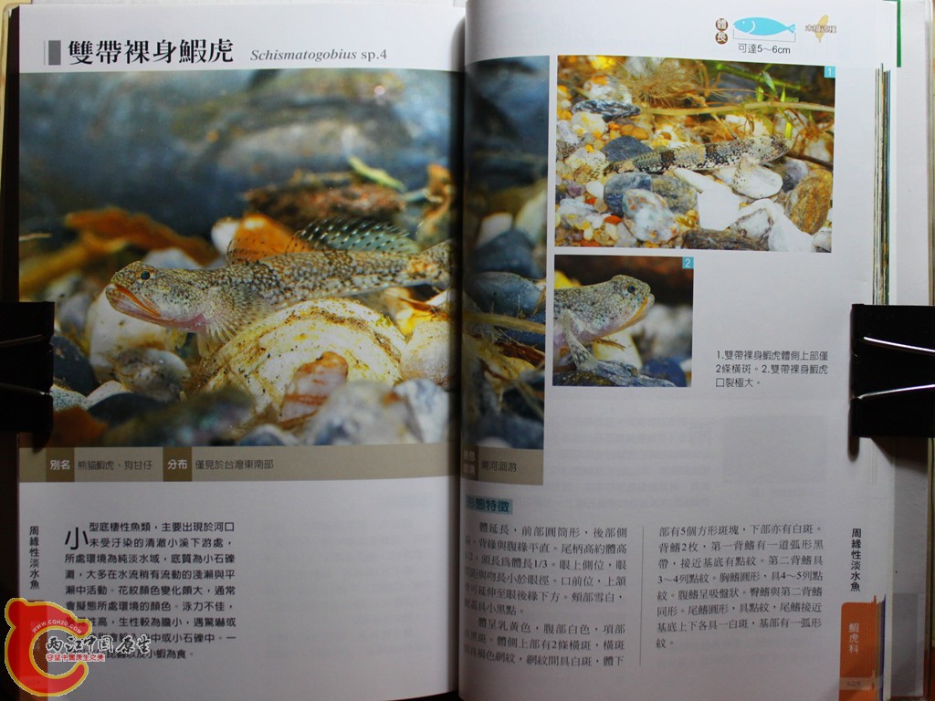 dIMG_7082_副本.jpg