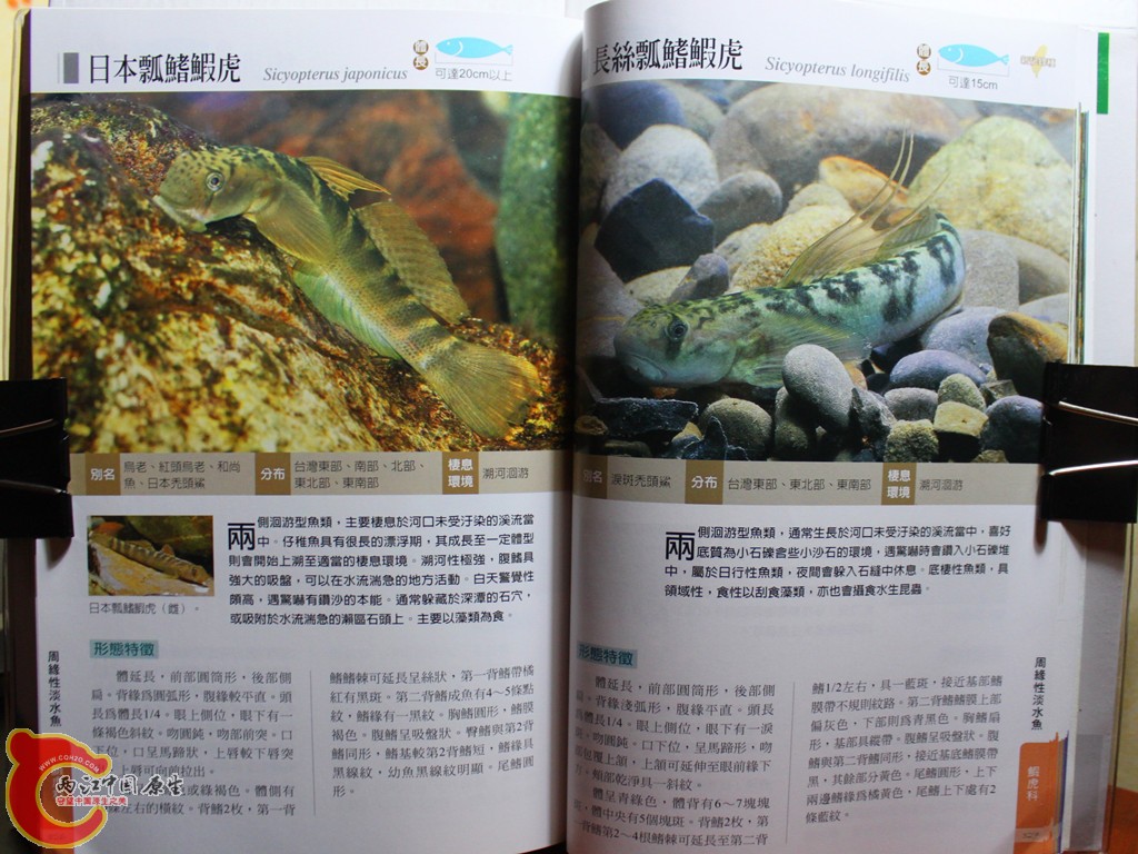 dIMG_7083_副本.jpg