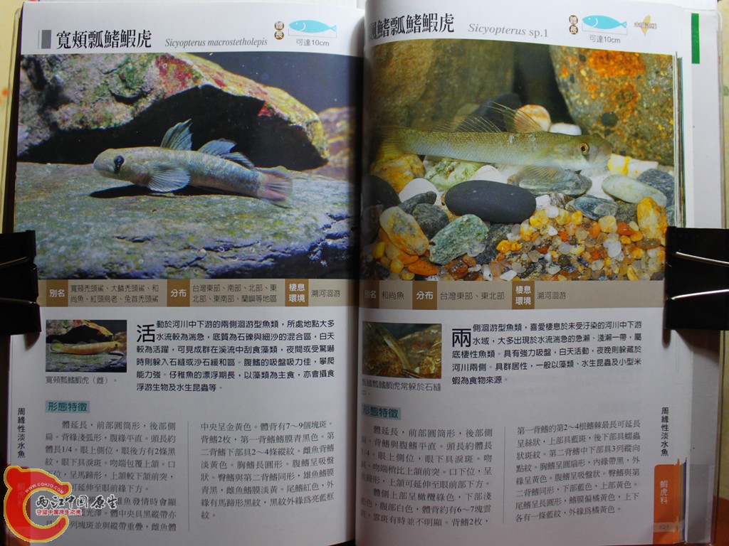 dIMG_7084_副本.jpg