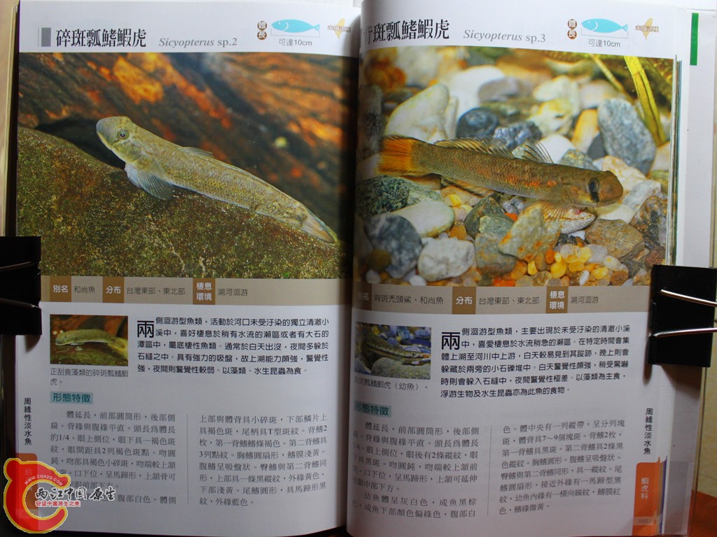 dIMG_7085_副本.jpg