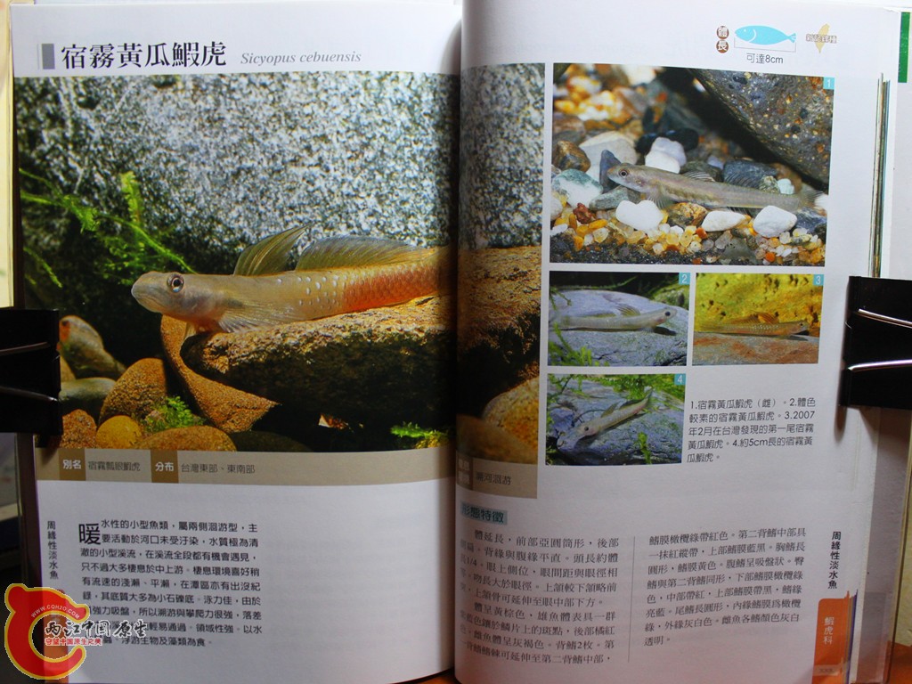 dIMG_7086_副本.jpg