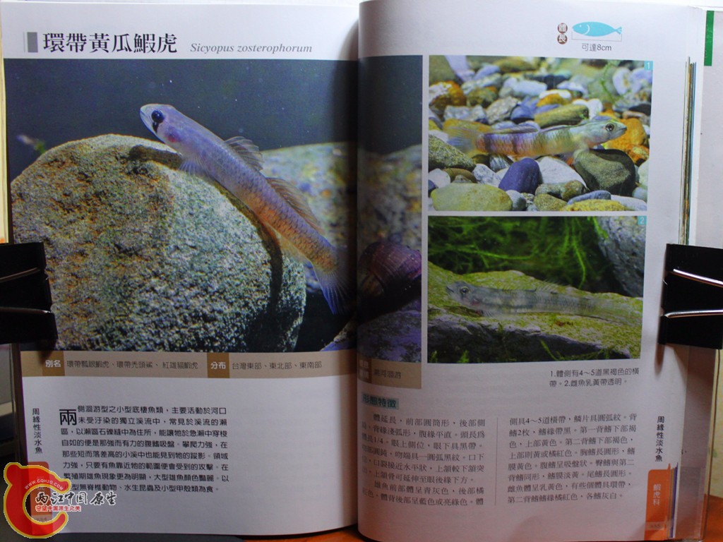 dIMG_7087_副本.jpg