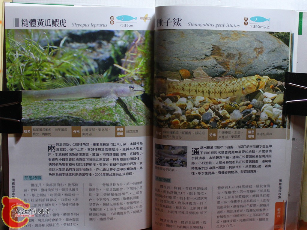 dIMG_7088_副本.jpg