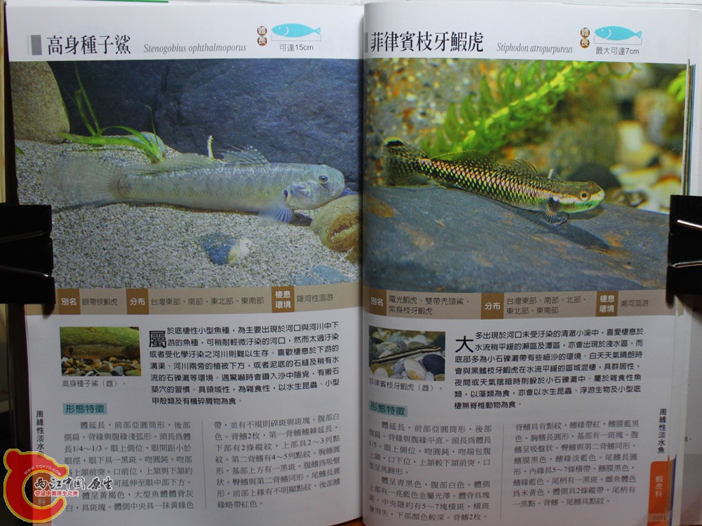 dIMG_7089_副本.jpg