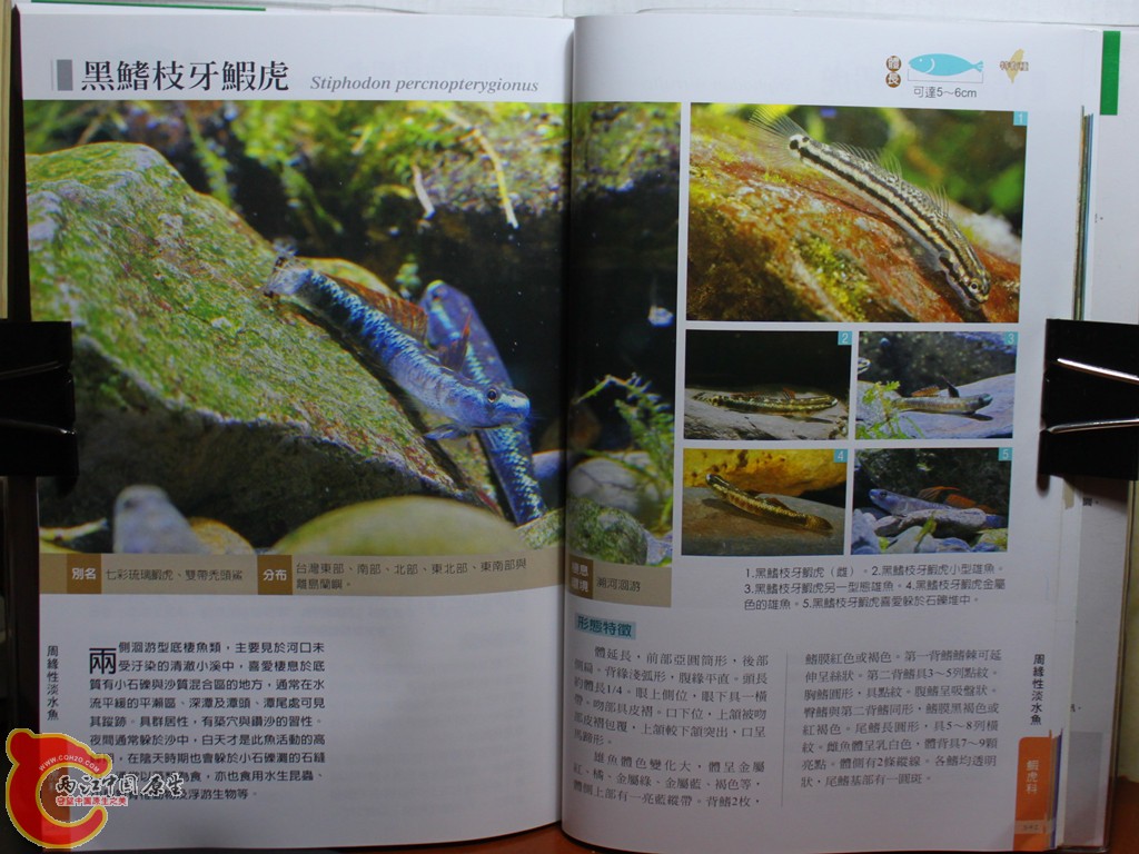 dIMG_7090_副本.jpg