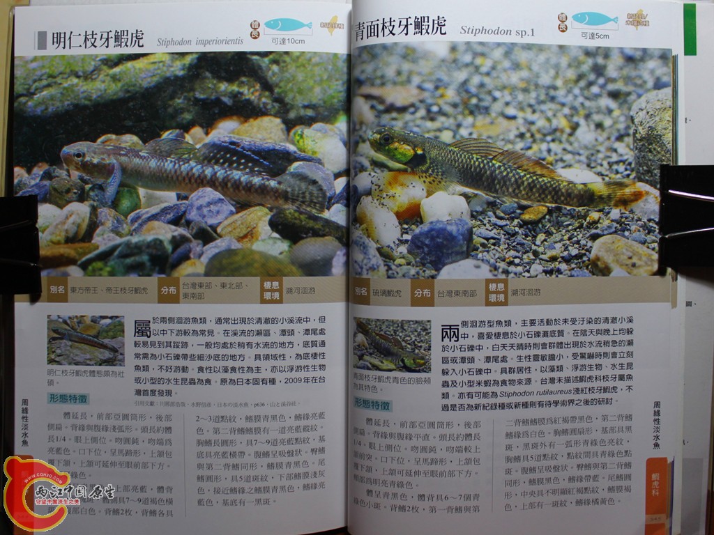 dIMG_7093_副本.jpg
