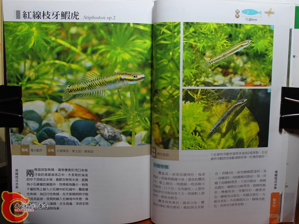dIMG_7094_副本.jpg
