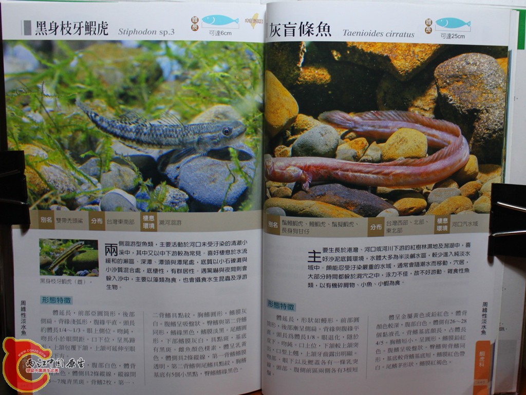 dIMG_7095_副本.jpg