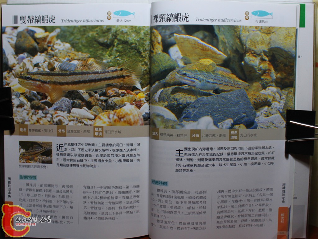 dIMG_7096_副本.jpg