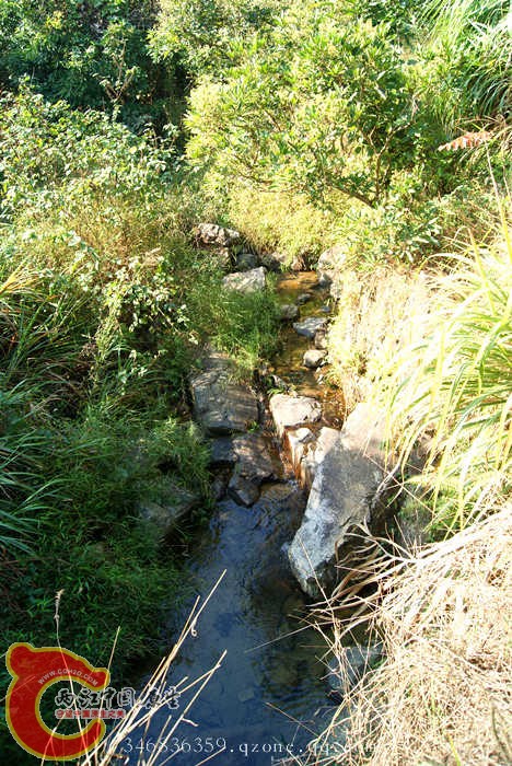 06.jpg