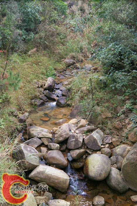 06.jpg