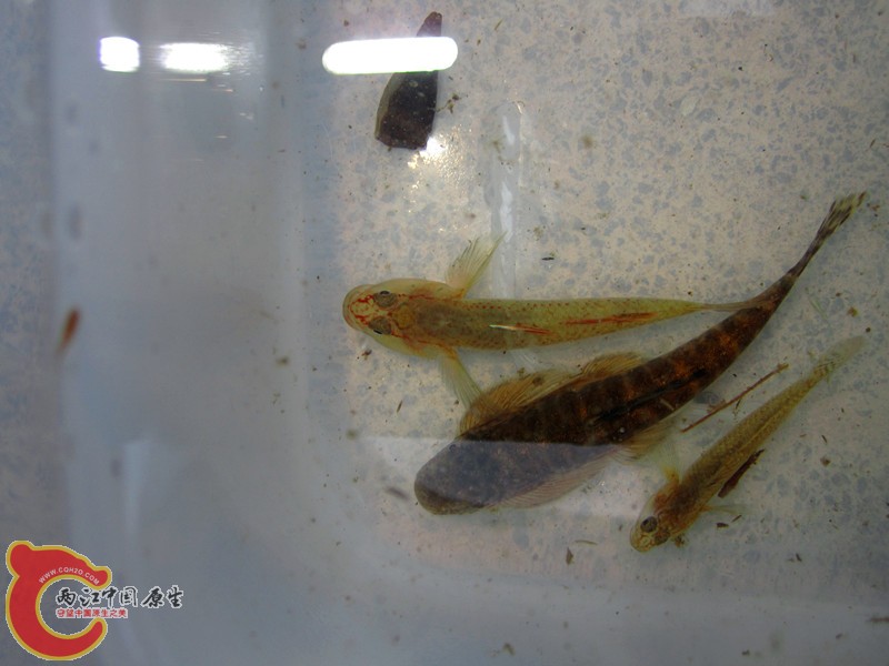 IMG_6648_副本.jpg