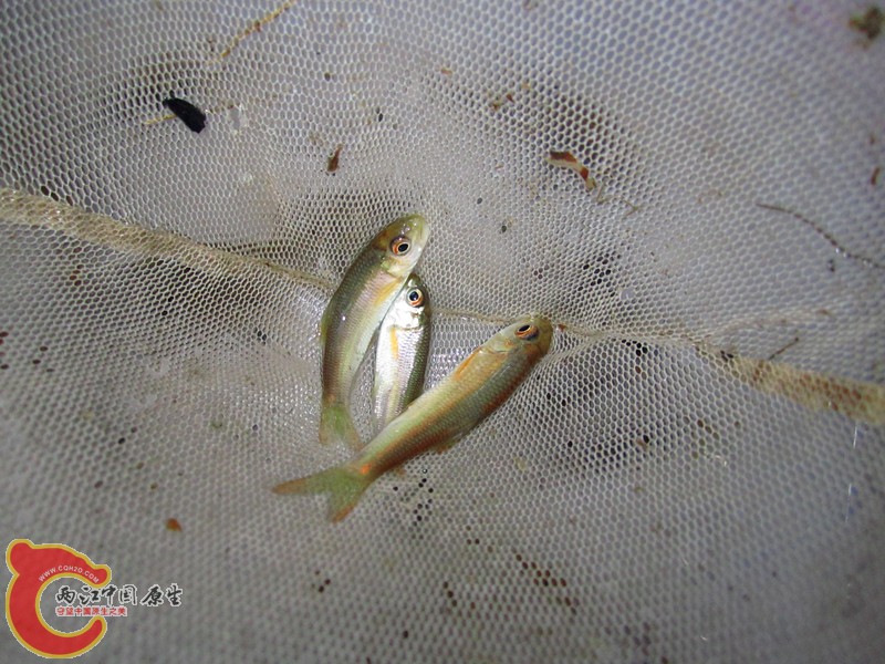 IMG_6653_副本.jpg