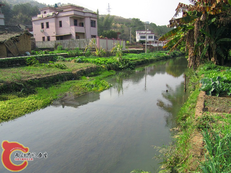 IMG_6670_副本.jpg