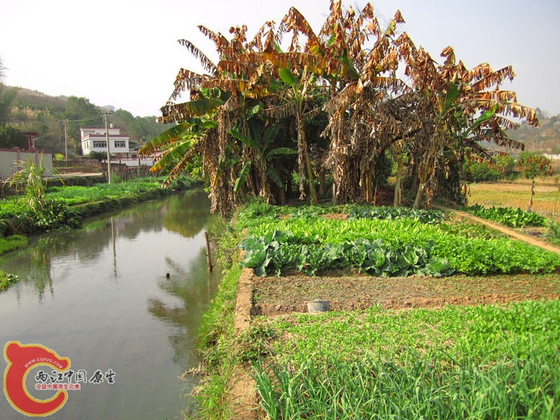 IMG_6673_副本.jpg