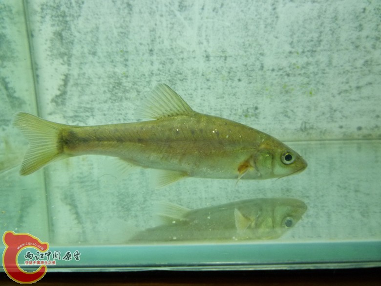 P1130123_副本.jpg
