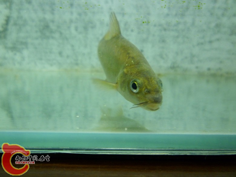 P1130130_副本.jpg