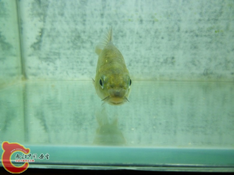 P1130140_副本.jpg
