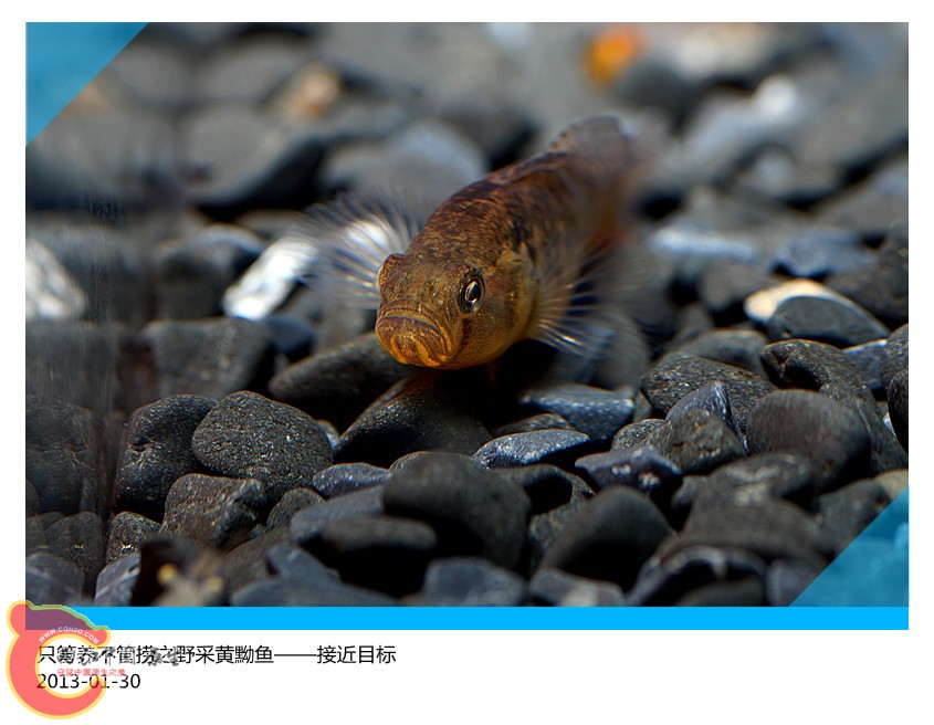 DSC02008_副本.jpg