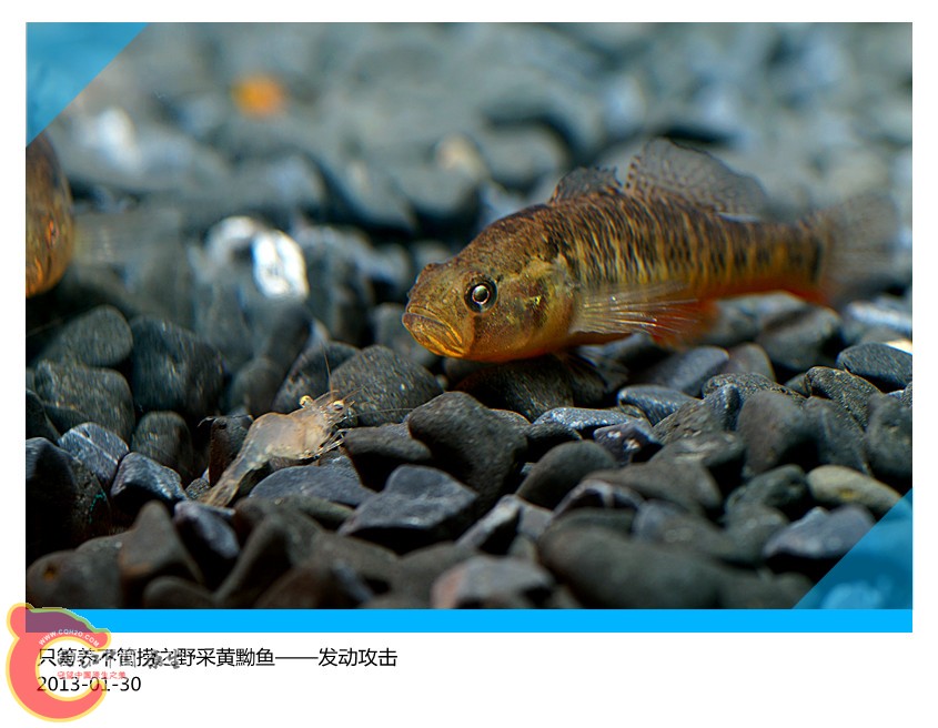 DSC02009_副本.jpg