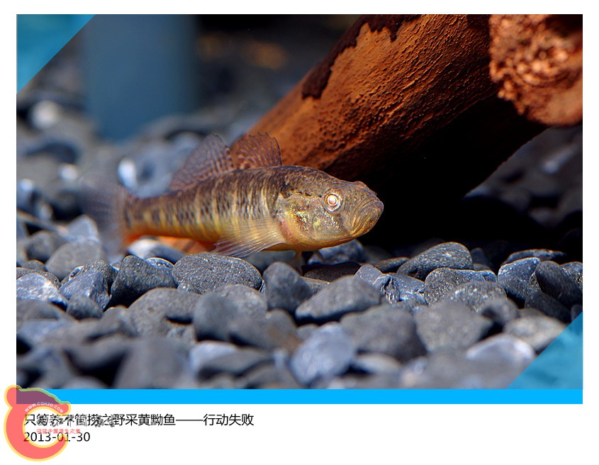 DSC02010_副本.jpg