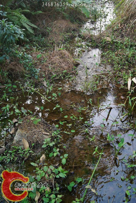 05.jpg