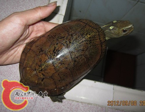 (2]00_NPK4W$Z5)VN3HMPT0.jpg
