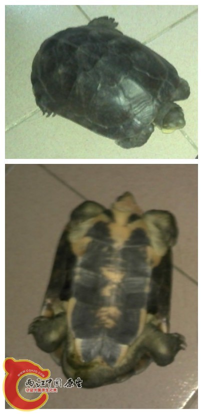 initpintu_副本.jpg