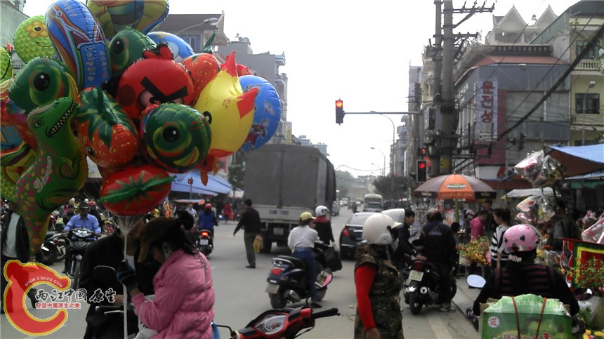 IMG_20130202_122307.jpg
