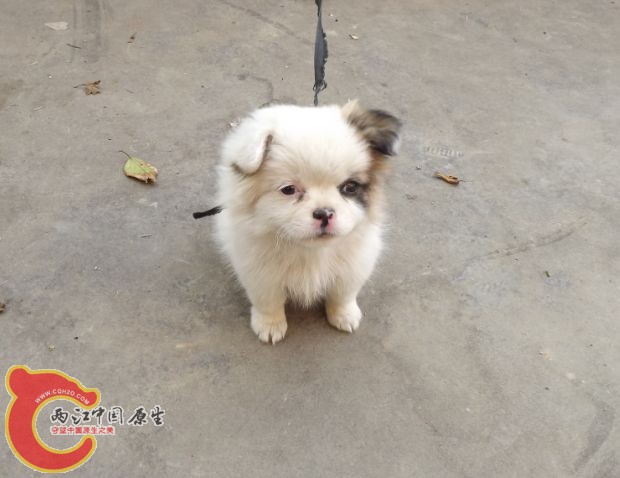 QQ截图20130131131326.jpg