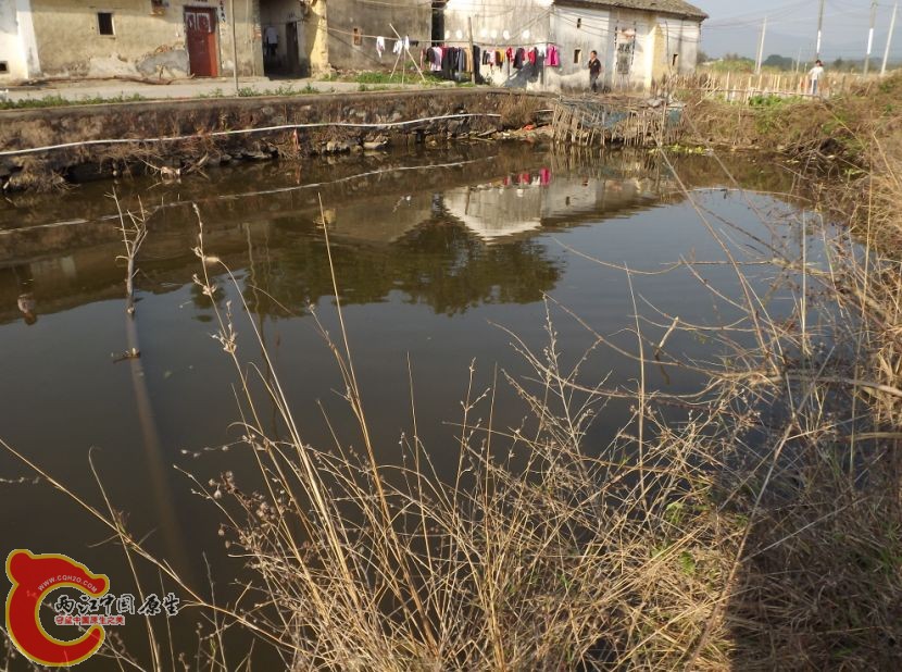QQ截图20130131130806.jpg