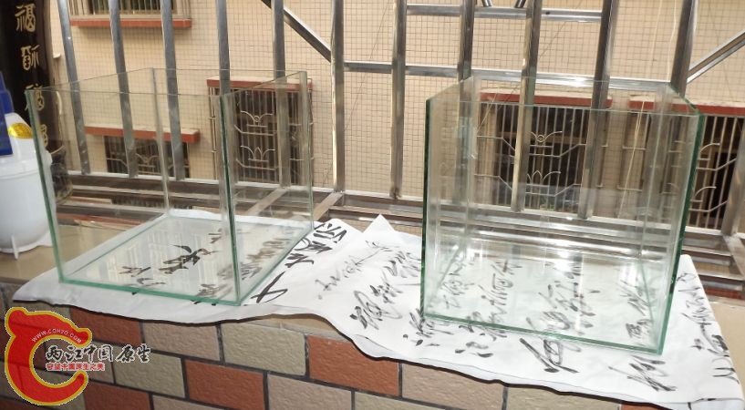 QQ截图20130131131246.jpg