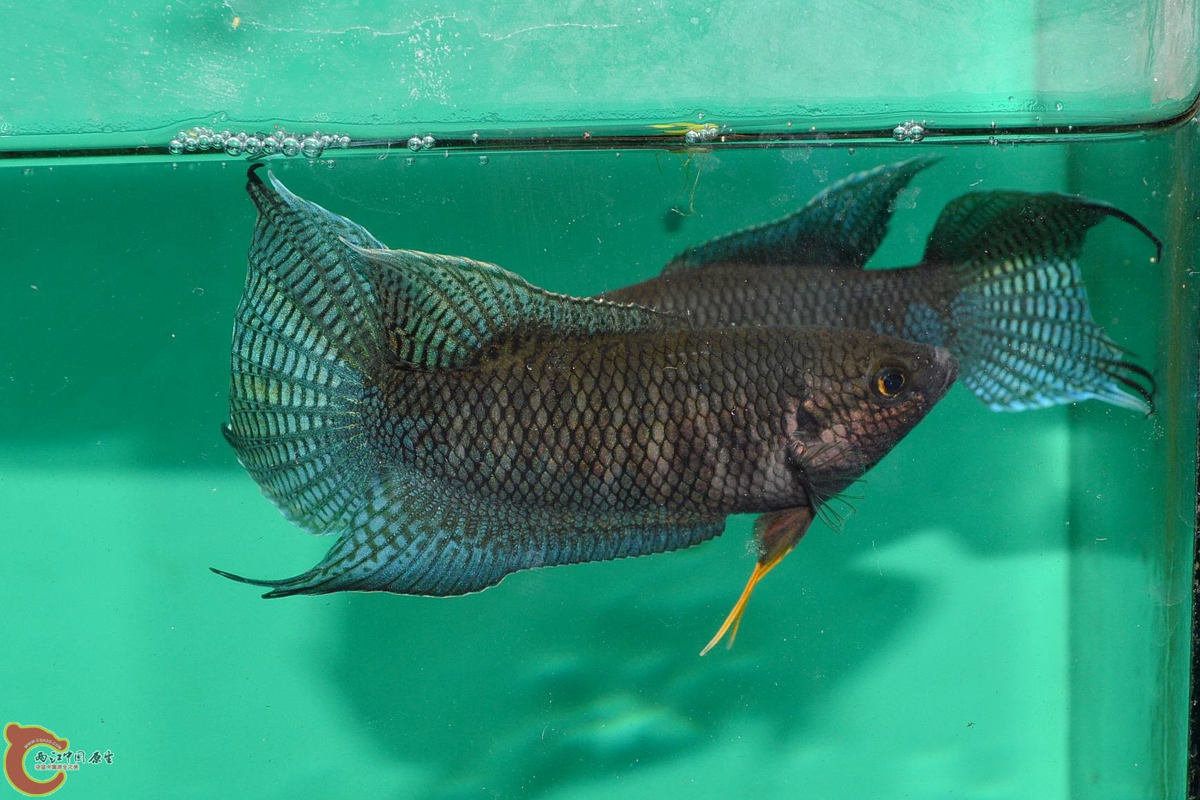 DSC_0124.jpg