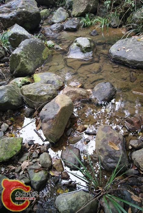 09.jpg