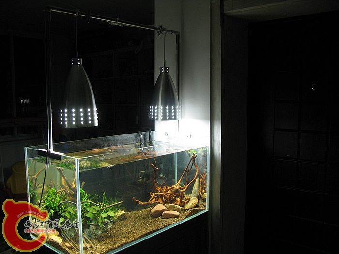 鱼缸2.jpg