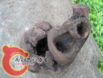 DSCN2263.jpg