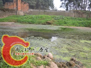 DSCN2288.jpg