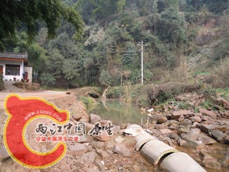 DSCN2170.jpg