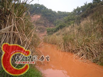 DSCN2172.jpg