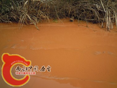 DSCN2173.jpg