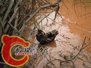 DSCN2174.jpg