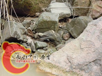 DSCN2178.jpg