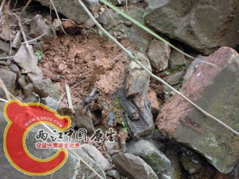 DSCN2179.jpg